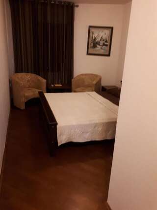 Гостевой дом Apartment Vir Вирпазар Двухместный номер Делюкс с 1 кроватью-4