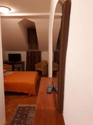 Гостевой дом Apartment Vir Вирпазар Двухместный номер Делюкс с 1 кроватью-6